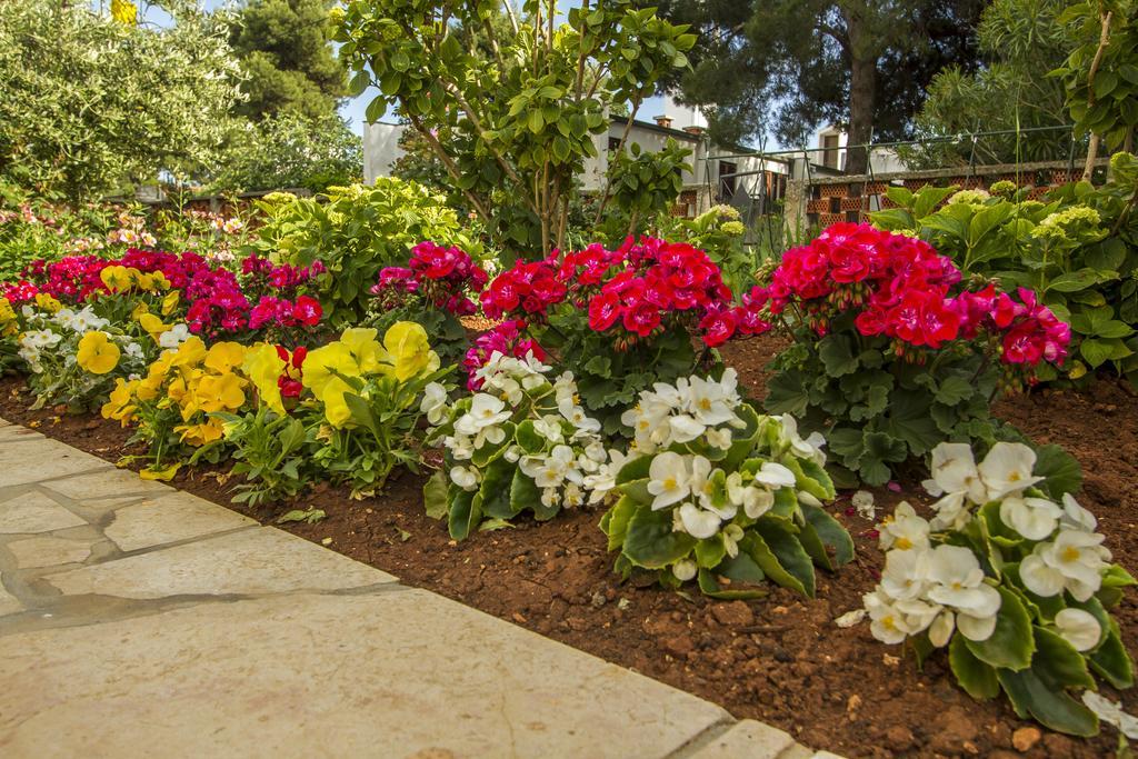 Apartments Hortensia พูลา ภายนอก รูปภาพ